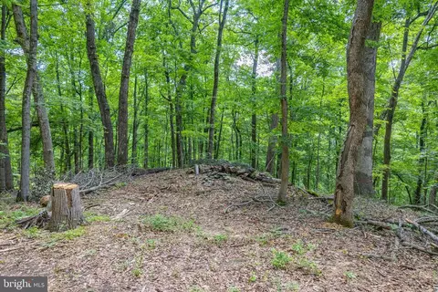 Comptons Rd, Castleton, VA 22716 photo 11