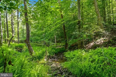 Castle Rock Ln, Castleton, VA 22716 photo 9