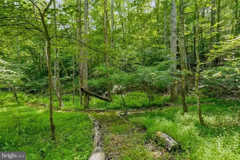 Castle Rock Ln, Castleton, VA 22716 photo 10