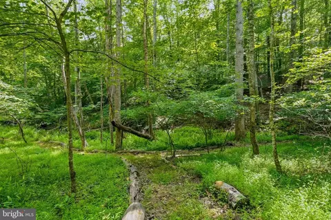 Castle Rock Ln, Castleton, VA 22716 photo 10