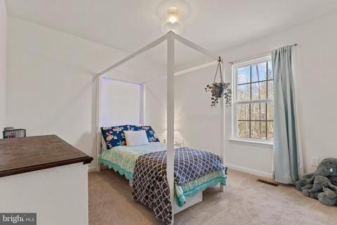 Undisclosed, Partlow, VA 22534 photo 21