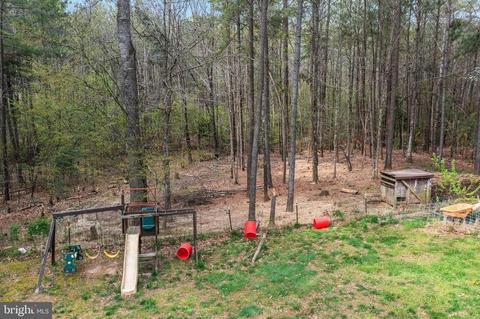 3924 Pinebrook Ct, Partlow, VA 22534 photo 38