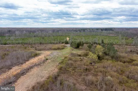 Mt Olive Rd, Beaverdam, VA 23015