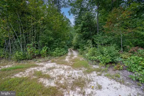 6008 Glebe Run Rd, Partlow, VA 22534 photo 33