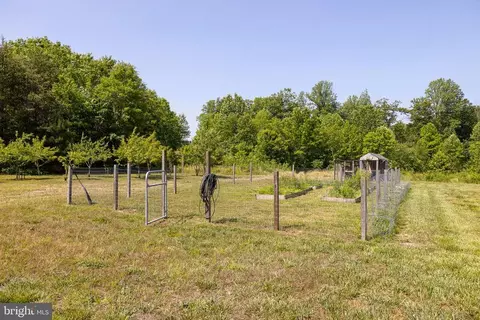 9803 Edenton Rd, Partlow, VA 22534 photo 48