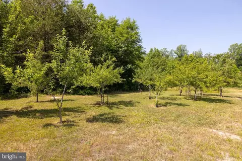 9803 Edenton Rd, Partlow, VA 22534 photo 49