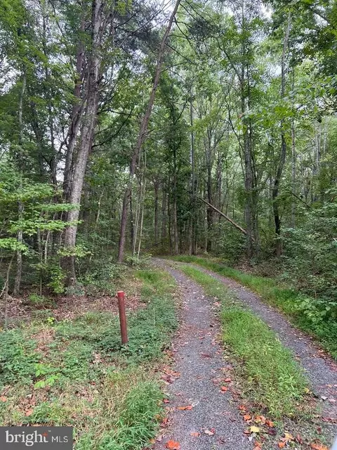 13024 Orange Plank Rd, Locust Grove, VA 22508