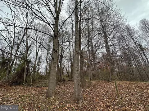 Days Bridge Rd, Orange, VA 22960 photo 3