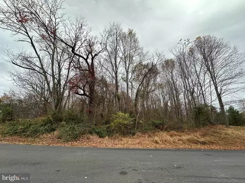 Days Bridge Rd, Orange, VA 22960 photo 8