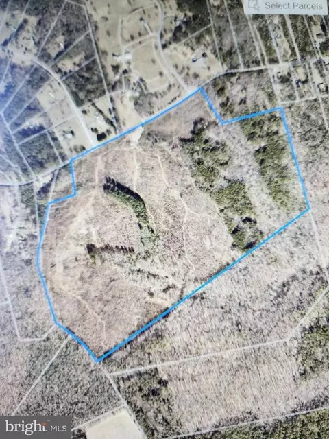 Dickerson Rd, Partlow, VA 22534 photo 3