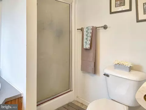 7309 Old Dickersons Rd, Orange, VA 22960 photo 26