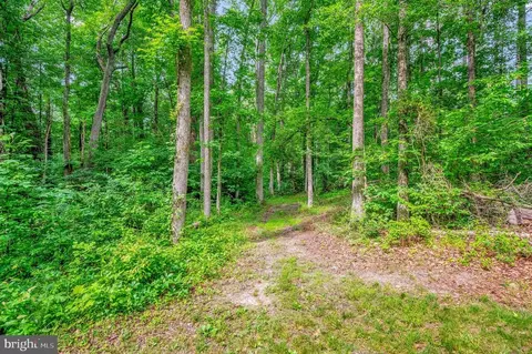 3534 Winding Rd, Partlow, VA 22534 photo 46