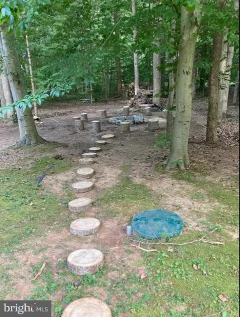 7207 Old Dickersons Rd, Orange, VA 22960 photo 51