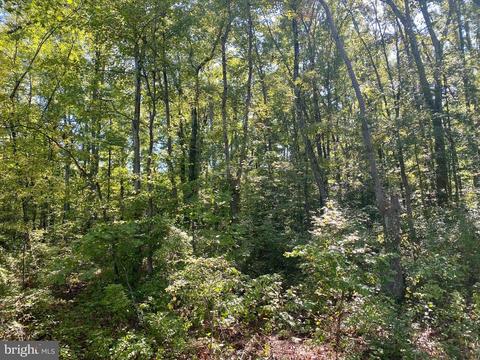 10040 Fairview Rd, Partlow, VA 22534 photo 1