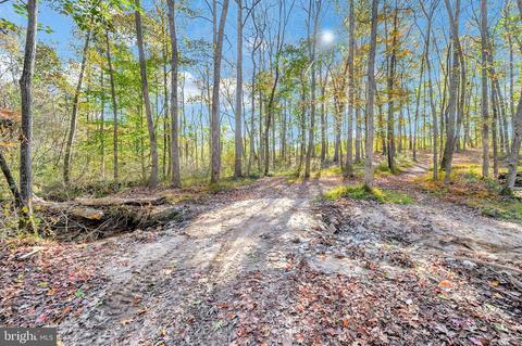 12200 Pendleton Pl, Bumpass, VA 23024 photo 17