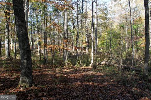 12200 Pendleton Pl, Bumpass, VA 23024 photo 61