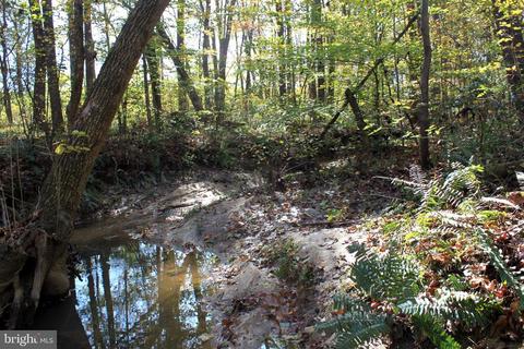 12200 Pendleton Pl, Bumpass, VA 23024 photo 73