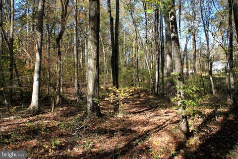 12200 Pendleton Pl, Bumpass, VA 23024 photo 70
