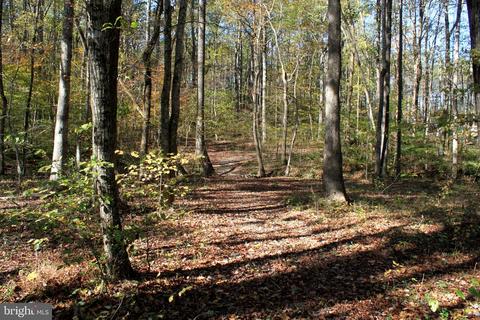 12200 Pendleton Pl, Bumpass, VA 23024 photo 71