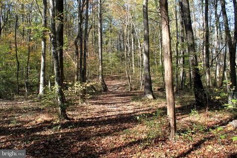 12200 Pendleton Pl, Bumpass, VA 23024 photo 67