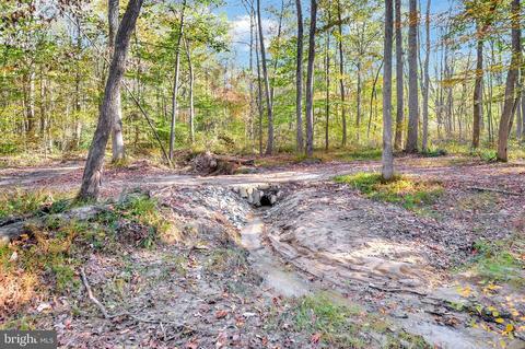 12200 Pendleton Pl, Bumpass, VA 23024 photo 16
