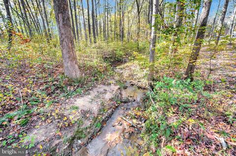 12200 Pendleton Pl, Bumpass, VA 23024 photo 15