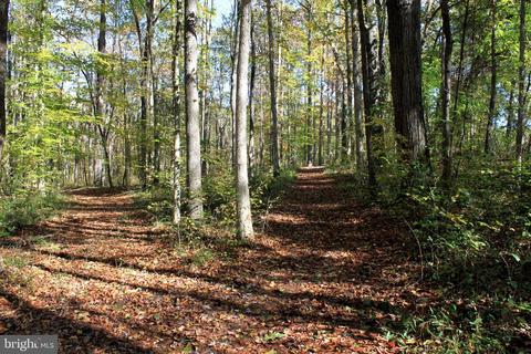 12200 Pendleton Pl, Bumpass, VA 23024 photo 68