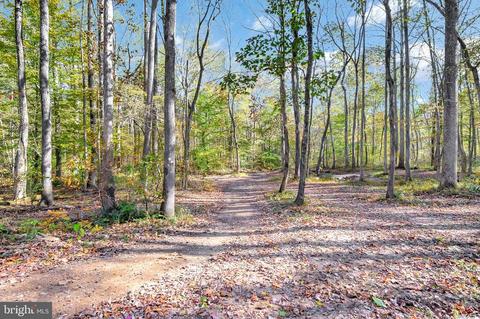12200 Pendleton Pl, Bumpass, VA 23024 photo 14