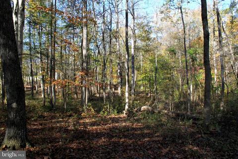 12200 Pendleton Pl, Bumpass, VA 23024 photo 64