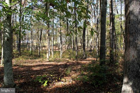 12200 Pendleton Pl, Bumpass, VA 23024 photo 65