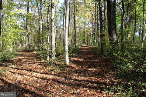 12200 Pendleton Pl, Bumpass, VA 23024 photo 69
