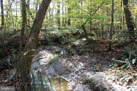 12200 Pendleton Pl, Bumpass, VA 23024 photo 72