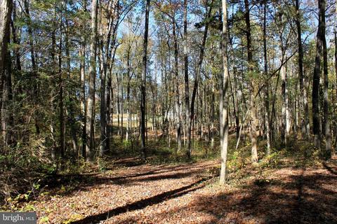 12200 Pendleton Pl, Bumpass, VA 23024 photo 66