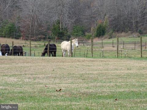 11820 Belfonte Rd, Bumpass, VA 23024 photo 5