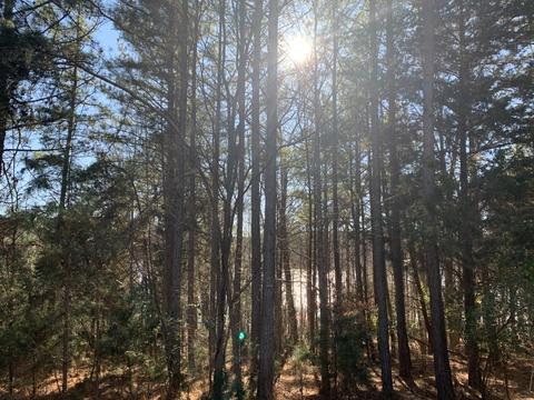 Lot 117 Island Point Dr, Gretna, VA 24557