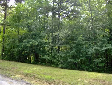 141 Petty Ln, Java, VA 24565 photo 13