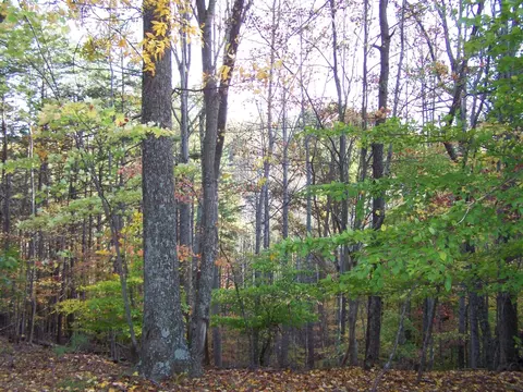 1082 Had It Rd, Vinton, VA 24179 photo 6