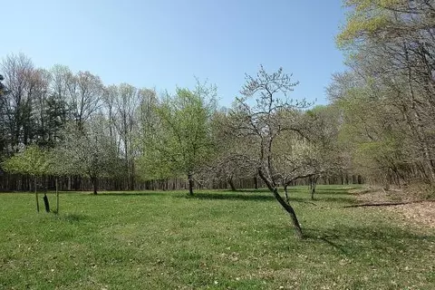 981 Circle Creek Rd, Penhook, VA 24137 photo 20
