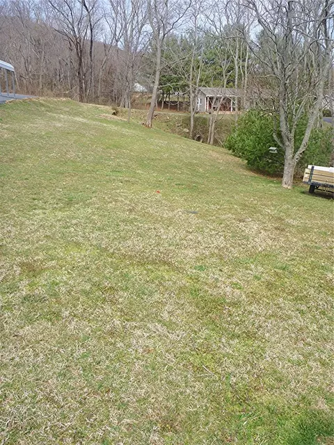 464 2nd St, Buchanan, VA 24066 photo 3