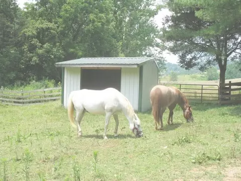 970 Hardbarger Rd, Buchanan, VA 24066 photo 9