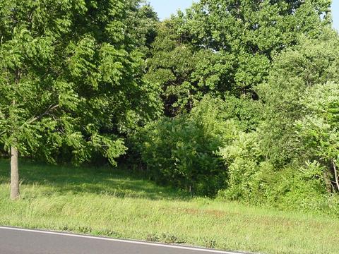 Lot 3 White House Rd, Moneta, VA 24121