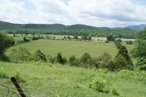 1529 Hayden Loop, Eagle Rock, VA 24085 photo 5