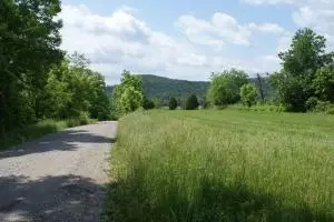 1529 Hayden Loop, Eagle Rock, VA 24085 photo 4