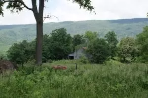 1529 Hayden Loop, Eagle Rock, VA 24085 photo 7