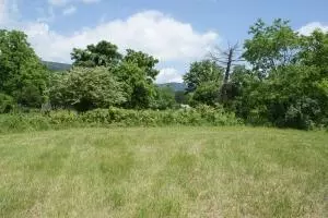 1529 Hayden Loop, Eagle Rock, VA 24085 photo 6