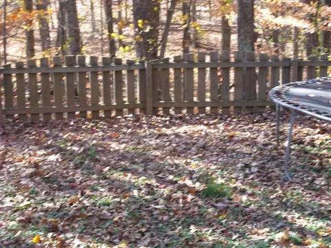 2002 Springfield Dr, Roanoke, VA 24012 photo 3