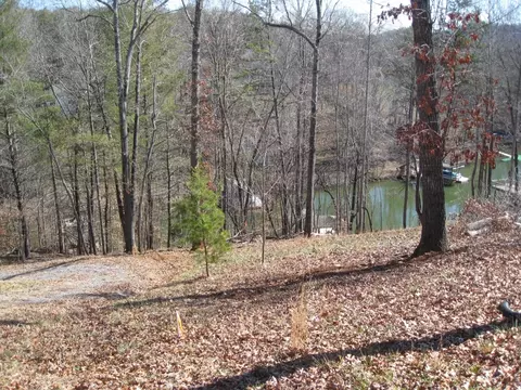 1088 Loggers Rd, Goodview, VA 24095 photo 5
