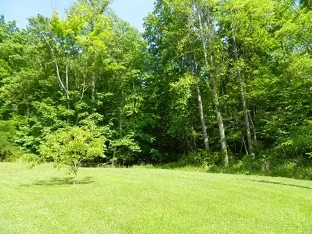 515 Hillock Rd, Ferrum, VA 24088 photo 4