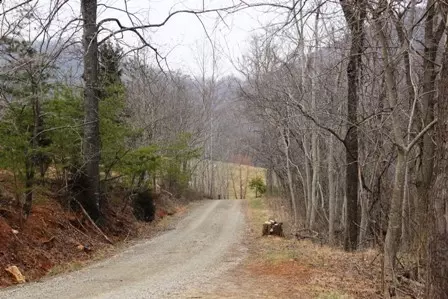 515 Hillock Rd, Ferrum, VA 24088 photo 28