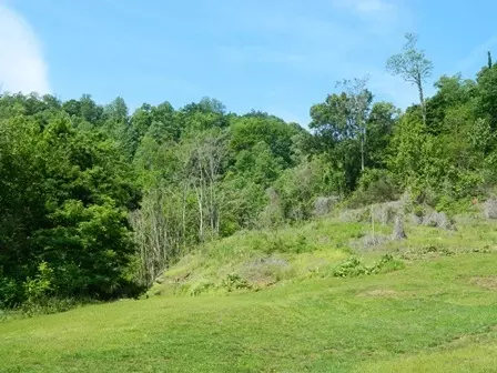 515 Hillock Rd, Ferrum, VA 24088 photo 7